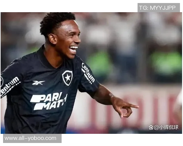 中超外援身价榜揭晓盖伊250万欧并列第八热菲尼奥450万欧居首