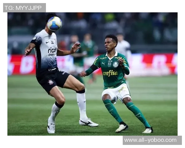 巴甲赛季落幕仅两队无洲际赛资格且不降级桑托斯将征战南美杯